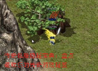 ˽ر䣺̵ֵĴϷ
