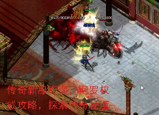 ·Ȩԣ̽ؾ