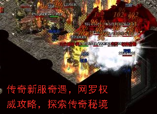 ·Ȩԣ̽ؾ