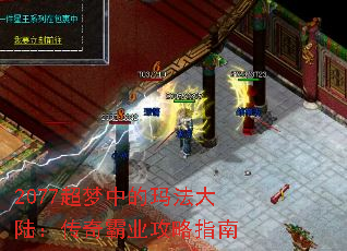 2077е귨½ҵָ
