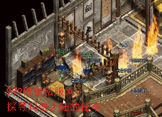 999˽̽Ѱ귨½