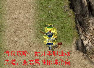 湥ԣ¿ְҵսָ̬