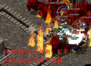 Ѫ˽棺ŵ߹Դ