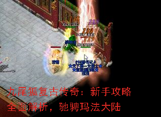 βŴ棺ֹȫ۳귨½