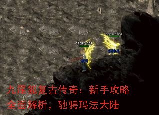 βŴ棺ֹȫ۳귨½