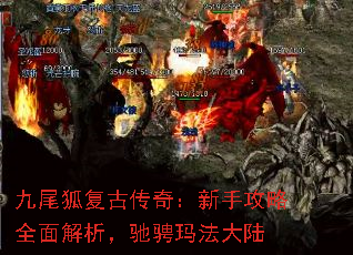 βŴ棺ֹȫ۳귨½
