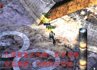 βŴ棺ֹȫ۳귨½