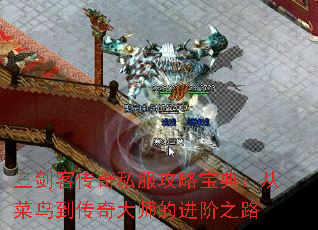 ʹ˽Ա䣺Ӳ񵽴ʦĽ֮·