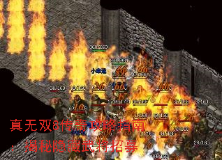 ˫8湥ָϣ佫ļ