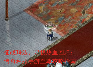 ս귨ѰѪع飺˽ָ