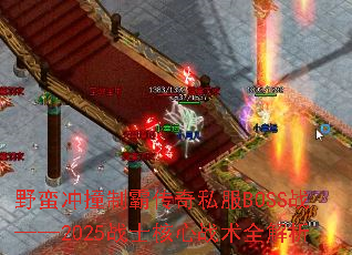ҰײưԴ˽BOSSս2025սʿսȫ