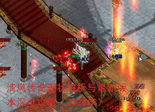 紫״°汾ȹԣ2025꣩