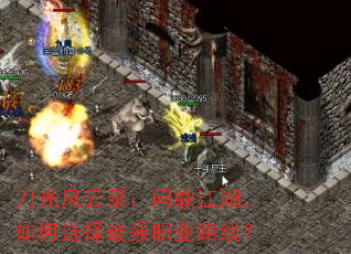 ¼ʶѡǿְҵ·ߣ