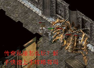˽ô棿ֹֿ