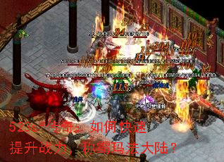 523sf棺οսư귨½