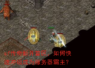 sf¿οٳ弶Ϊ