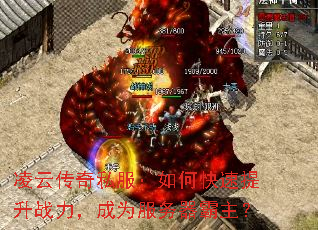 ƴ˽οսΪ
