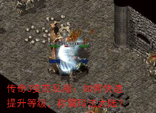 3̬˽οȼư귨½
