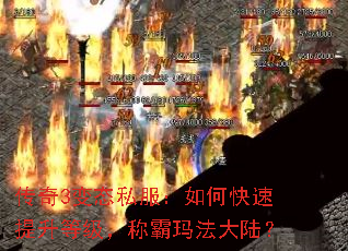 3̬˽οȼư귨½