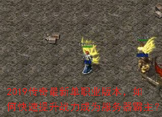 2019µְҵ汾οսΪ