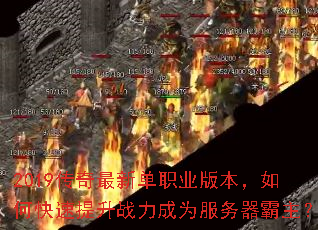 2019µְҵ汾οսΪ