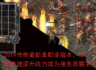 2019µְҵ汾οսΪ