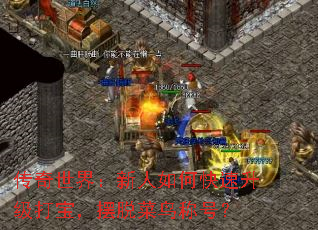 磺ο򱦣Ѳƺţ