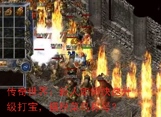 磺ο򱦣Ѳƺţ