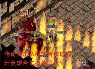 ϻ˽οӢۺϻܵȼ