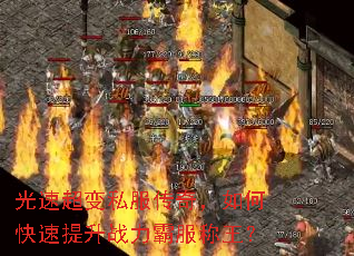 ٳ˽棬οսԷ