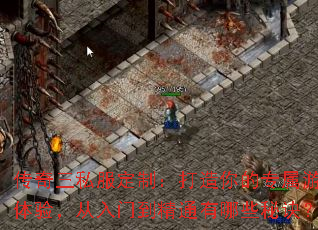 ˽ƣרϷ飬ŵͨЩؾ