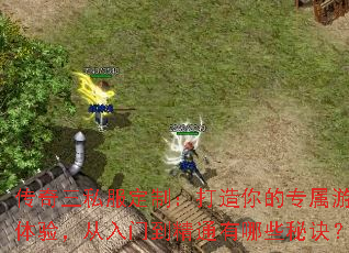 ˽ƣרϷ飬ŵͨЩؾ