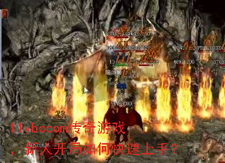 11ybccomϷ˿ο֣