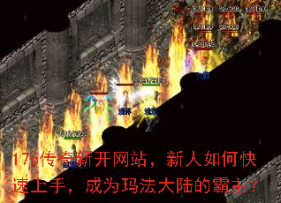 176¿վο֣Ϊ귨½İ