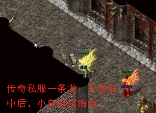˽һǰкСױָܿϣ