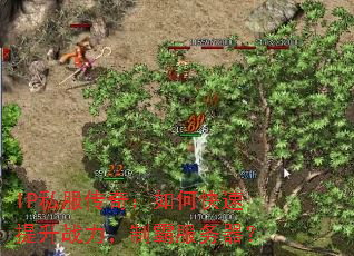 IP˽棺οսưԷ