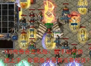 185ϻ˽ο֣ưԷûؾ