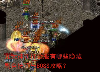 񷣴ЩˢBOSSԣ