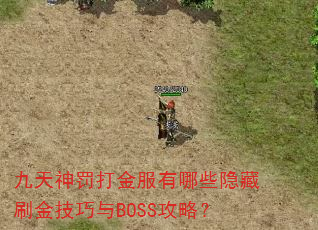 񷣴ЩˢBOSSԣ