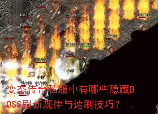 ̬˽ЩBOSSˢ¹ˢɣ