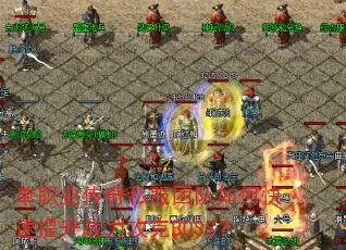 ְҵ˽ŶοսBOSS