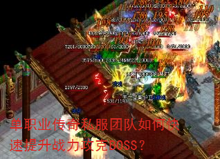 ְҵ˽ŶοսBOSS