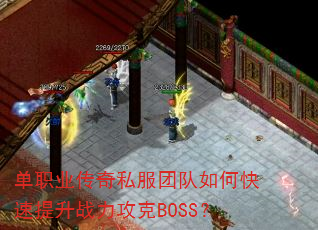 ְҵ˽ŶοսBOSS