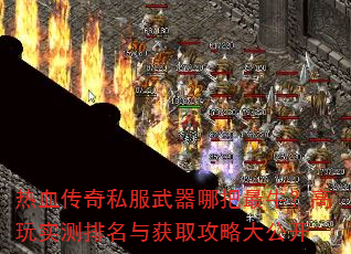Ѫ˽İţʵȡԴ󹫿