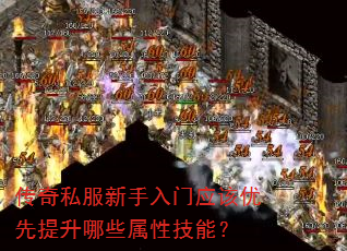 传奇私服新手入门应该优先提升哪些属性技能? 传奇私服新手入门应该优先提升哪些属性技能?