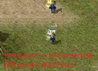 ˽̬ϻ汾ְҵϲɱBOSS