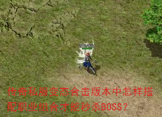 ˽̬ϻ汾ְҵϲɱBOSS