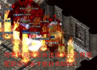 ˽̬ϻ汾ְҵϲɱBOSS