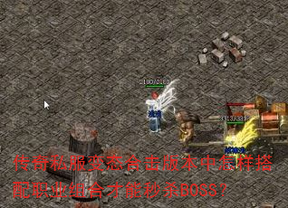 ˽̬ϻ汾ְҵϲɱBOSS