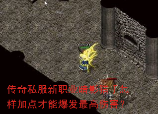 传奇私服新职业暗影猎手怎样加点才能爆发最高伤害? 传奇私服新职业暗影猎手怎样加点才能爆发最高伤害?